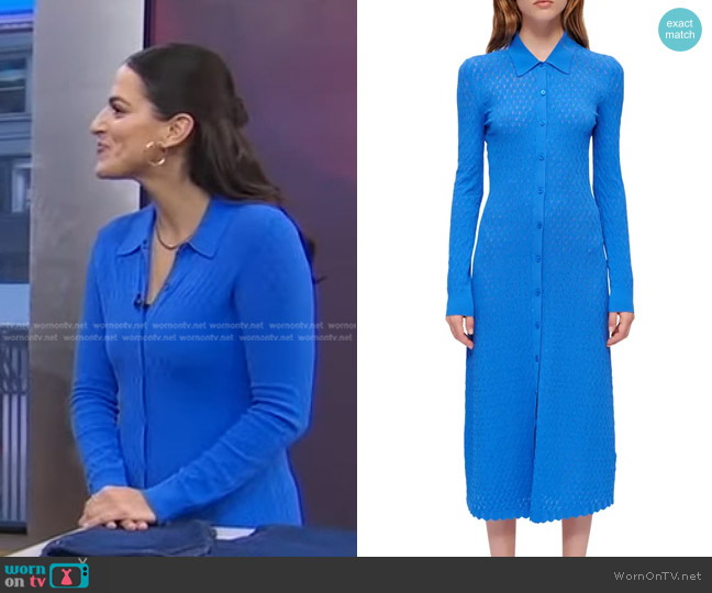 Maje Maline Openwork Long Sleeve Sweater Dress worn by Janelle Cohen on Good Morning America