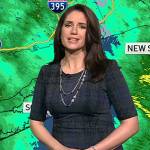Maria Larosa’s plaid sheath dress by Today