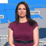 Maria’s pink houndstooth dress on Today
