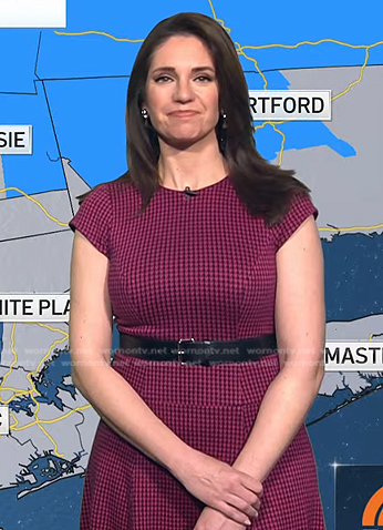 Maria’s pink houndstooth dress on Today