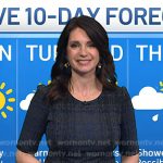 Maria’s grey plaid dress on Today