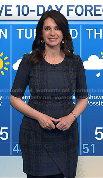 Maria’s grey plaid dress on Today