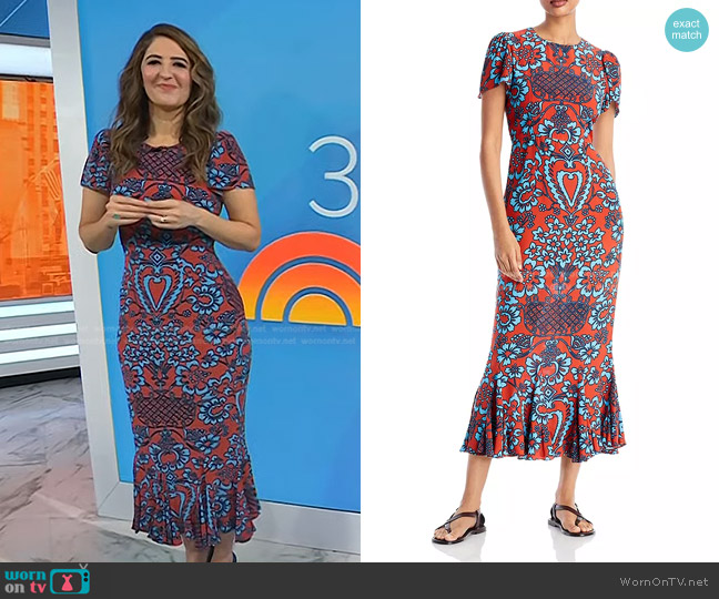 Rhode Lulani Midi Dress worn by D'Arcy Carden on Today