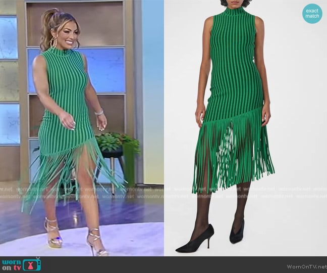 Ronny Kobo Kaipo Asymmetric Fringe Midi Dress worn by Amanda Rose Saccomanno on Tamron Hall Show