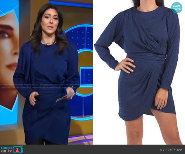 Ronny Kobo Shanaya Draped Moire Mini Dress worn by Erielle Reshef on Good Morning America