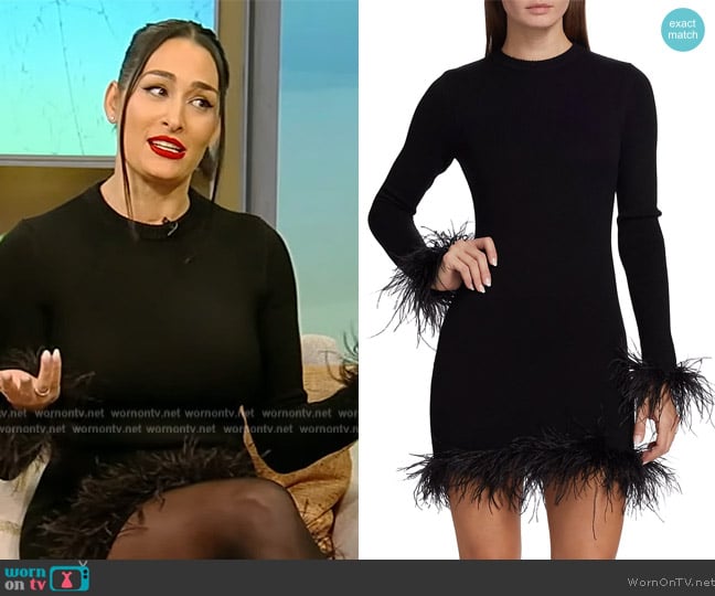 Ronny Kobo Sumal Feather-Trim Minidress worn by Nikki Bella on Tamron Hall Show