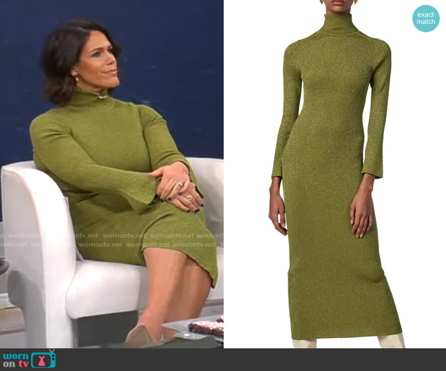 Ronny Kobo Chariuna Dress worn by Dana Jacobson on CBS Mornings