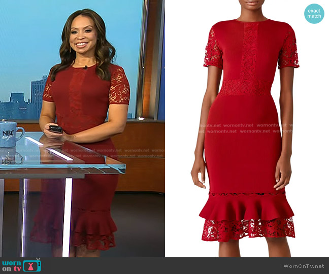 Sachin + Babi Lace Ruffle Hem Dress worn by Adelle Caballero on Today