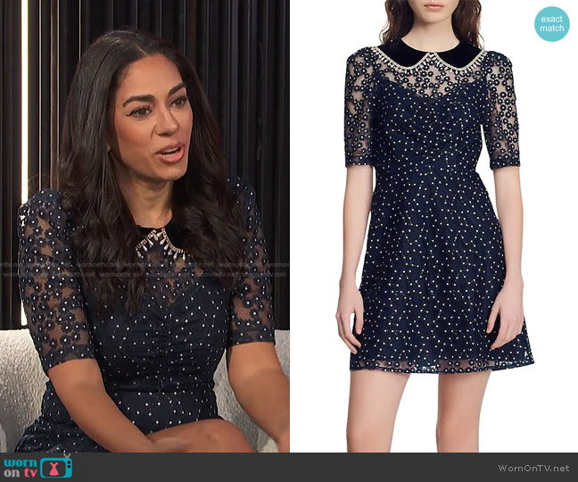 Sandro Lucianita A-Line Dress worn by Sharon Carpenter on E! News