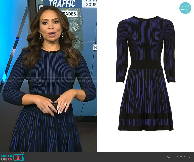 Shoshanna Bleeker Dress worn by Adelle Caballero on Today