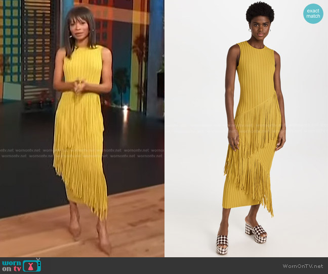 Simon Miller Spiral Dress worn by Zuri Hall on Access Hollywood