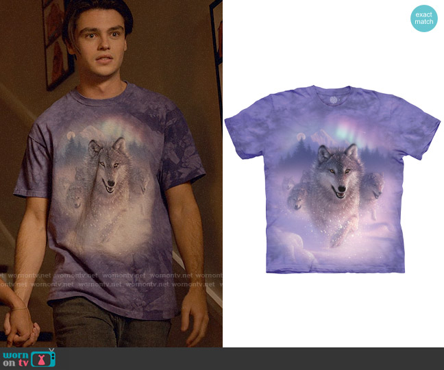 Northern Lights Classic Cotton T-Shirt from The Mountain worn by Marcus Baker (Felix Mallard) on Ginny & Georgia