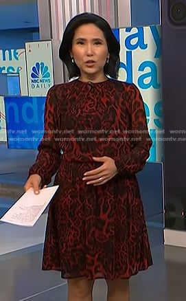 Vicky’s red leopard dress on NBC News Daily
