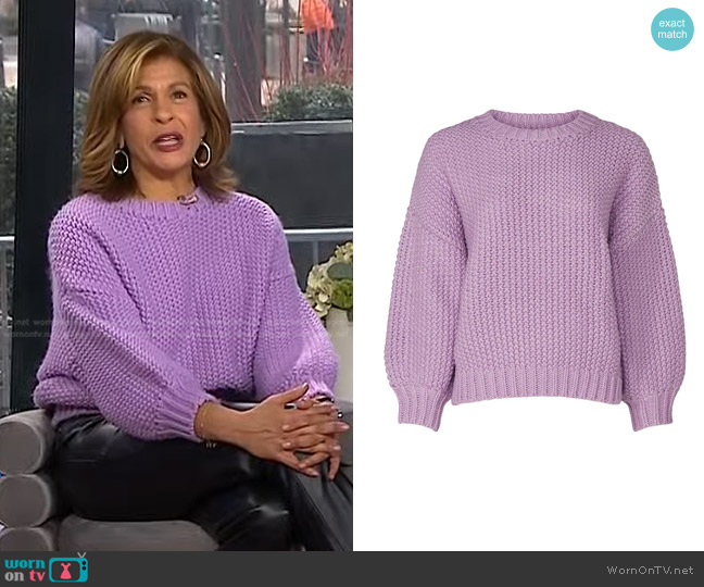 Wish Dixie Sweater worn by Hoda Kotb on Today