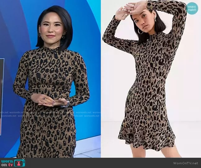 Whistles Animal Jersey Flippy Dress worn by Vicky Nguyen on Today