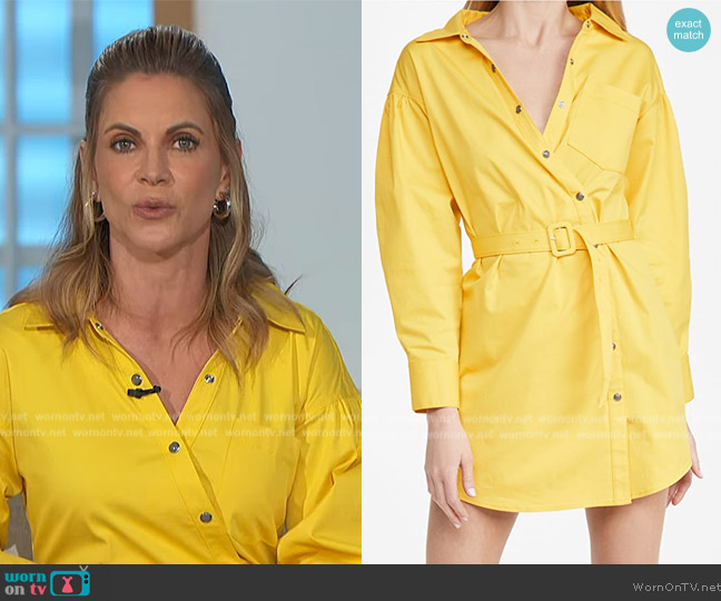 Cinq a Sept Camelia Dress worn by Natalie Morales on The Talk