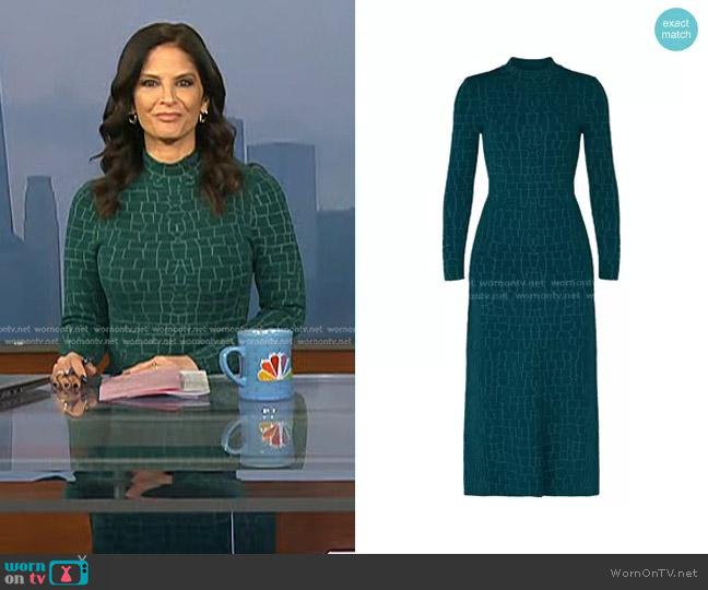 Staud Neville Dress worn by Darlene Rodriguez on Today