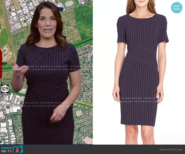 Tahari Pinstripe Sheath Dress worn by Heather O’Rourke on Good Morning America