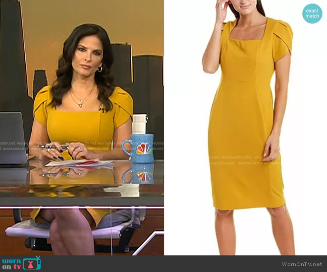 Donna Morgan Tulip Sleeve Sheath Dress worn by Darlene Rodriguez on Today