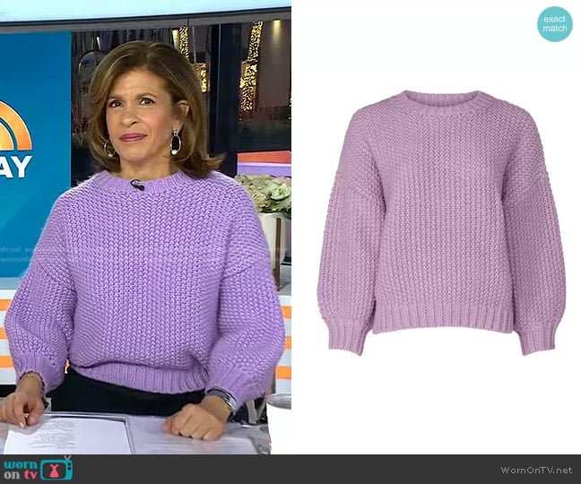 Wish Dixie Sweater worn by Hoda Kotb on Today