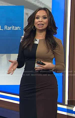 Adelle’s black and brown colorblock dress on Today