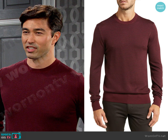 Emporio Armani Micro Pattern Wool Crewneck Sweater worn by Li Shin (Remington Hoffman) on Days of our Lives