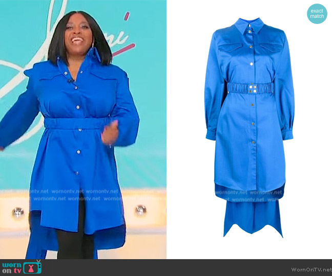 AZ Factory Belted Utility Trapeze Dress worn by Sherri Shepherd on Sherri