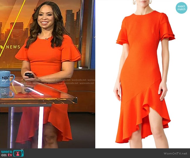 Black Halo Ruiz Dress worn by Adelle Caballero on Today
