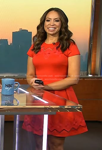 Adelle’s red mesh detail skater dress on Today