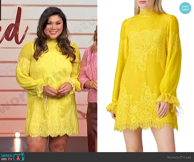 HAH Queen 4 A Day Dress worn by Jennifer Chan on Access Hollywood