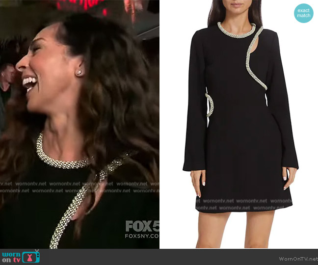 Simkhai Katherine Diamante Cutout Mini Dress worn by Terri Seymour on Extra