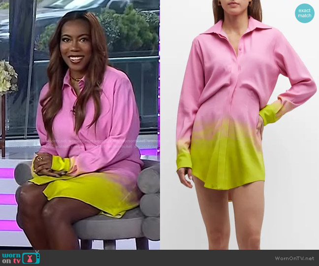 Brandon Maxwell The Noveau Mini Shirtdress worn by Tiffany Reid on Today