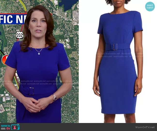 Calvin Klein Belted Sheath Dress worn by Heather O’Rourke on Good Morning America
