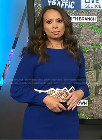 Adelle’s blue long sleeve dress on Today