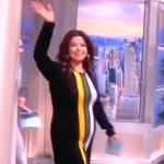 Ana’s black stripe front dress on The View