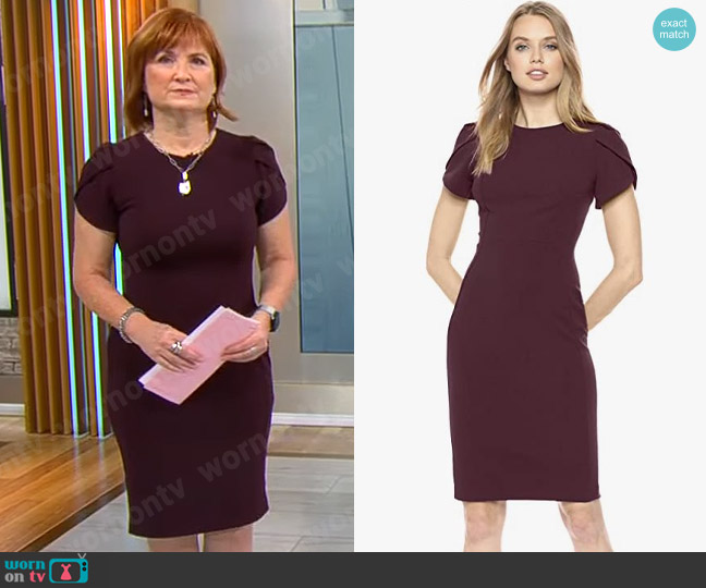 Calvin Klein Tulip Sleeved Sheath Dress in Aubergine worn by Anna Werner on CBS Mornings