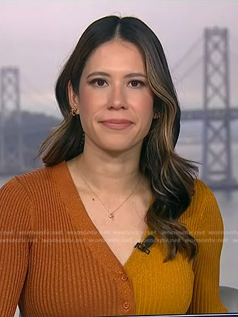 Deirdre Bosa’s metallic colorblock dress on NBC News Daily
