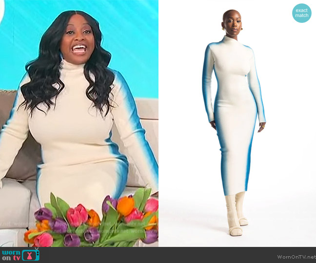 Hanifa Marya Dress worn by Sherri Shepherd on Sherri