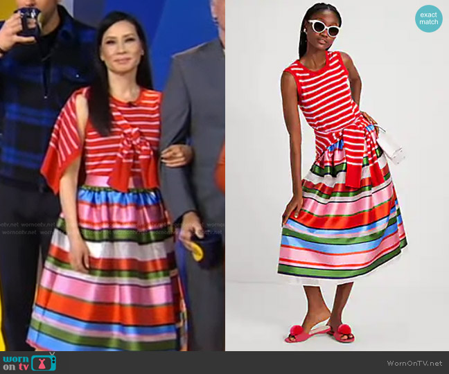 Kate Spade Sunday Stripe Organza Midi Skirt worn by Lucy Liu on Good Morning America