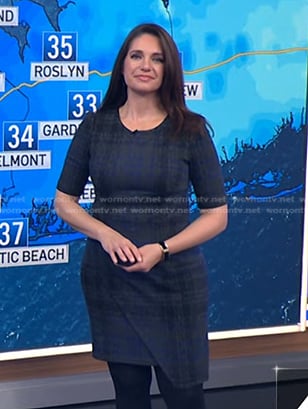 Maria’s grey plaid dress on Today