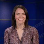 Molly Hunter’s printed metallic blouse on Today