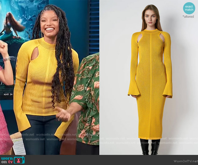 RVN Reversible Rib Cutout Knit Dress worn by Halle Bailey on Access Hollywood