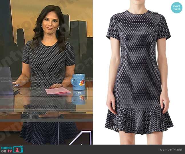 Shoshanna Genesee Dress worn by Darlene Rodriguez on Today