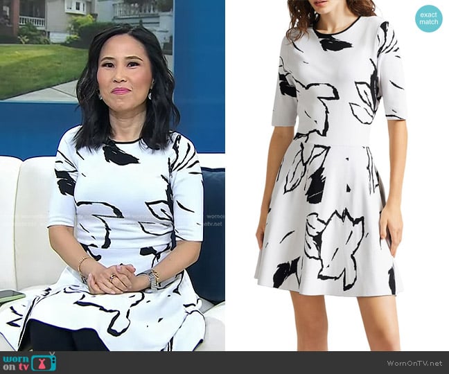 Ted Baker Savina Jacquard Skater Dress worn by Vicky Nguyen on Today