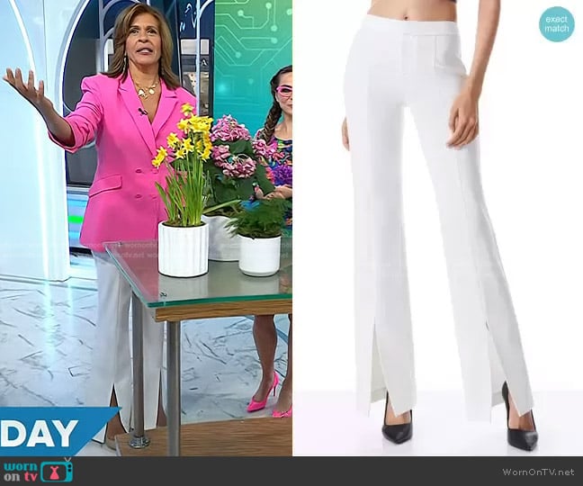 Alice + Olivia Walker Slim Front Slit Pants worn by Hoda Kotb on Today