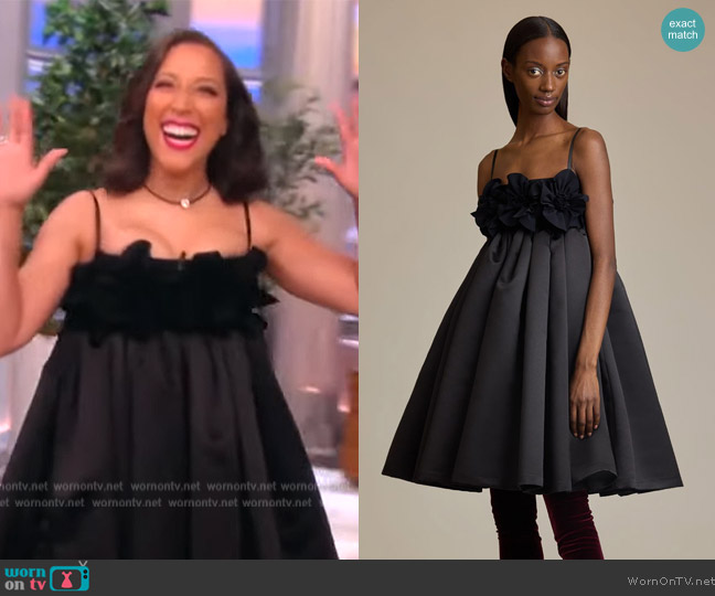 Greta Constantine Sleeveless Andra Dress worn by Robin Thede on The View