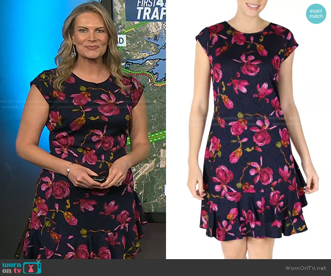 Robbie Bee Cap Sleeve Dress worn by Emily West on Today