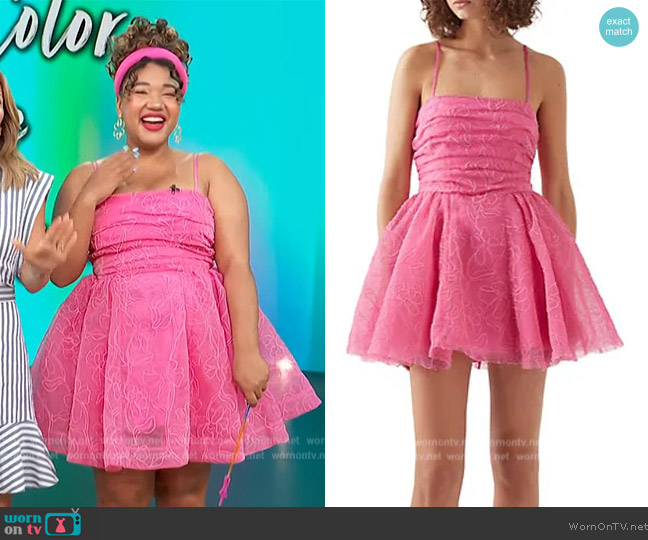 Aje Evangeline Cornelli Embroidered Chiffon Mini Dress worn by Courtney Quinn on Access Hollywood