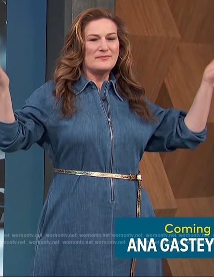 Ana Gasteyer’s blue denim zip dress on Access Hollywood