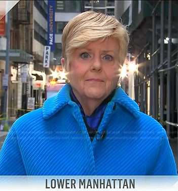 Anne Thompson’s blue coat on Today